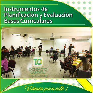 Curso Instrumentos de Planificación y Evaluación Bases Curriculares